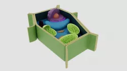 plant cell Low-poly  3D model