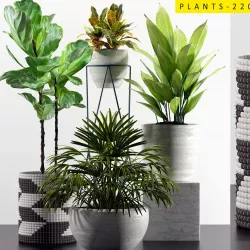 PLANTS 220 3D model