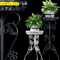 PLANTS 227 3D model