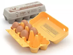 Rigged Egg Box 3D model