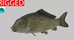 river Fish  3D model
