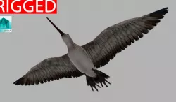Snipe 3D model