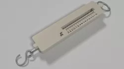 spring weight 3D model