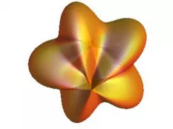 Star fruit