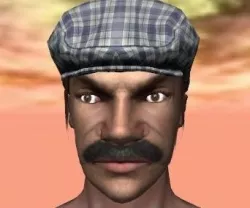 Stern face 3D model