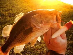 Texas 3D Fishing Lure