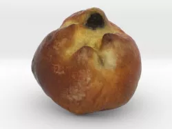 The Raisin Bread