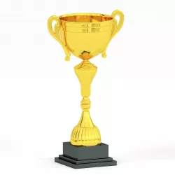 Trophy  1 3D model