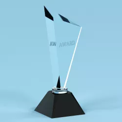 Trophy  8 3D model