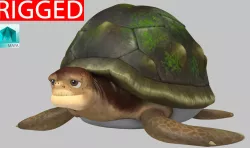 Turtle 3D model