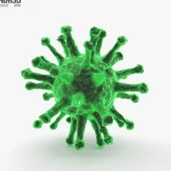 Virus 3D model