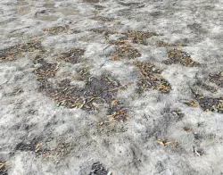 White arid terrain seamless PBR Texture