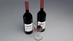 Wine Bottle 3D model