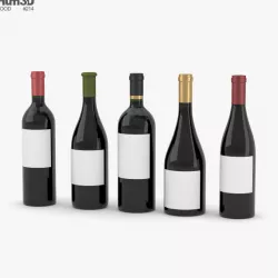 Wine Bottle 3D model