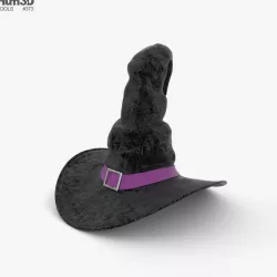 Witch Hat 3D model