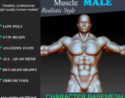 Zbrush tool-Low poly Basemesh Muscle Male 01 3D model
