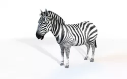 Zebra Rigged 3D model