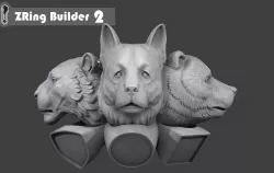 Zring Builder 2 3D model