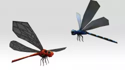 2 Cute Cartoon Animated Lowpoly Dragon Fly AR VR Set Low-poly  3D model