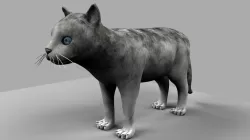 3D Cat 3D model