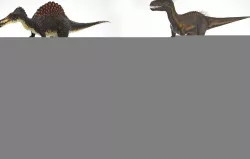 6 Dinosaurs Models Low-poly  3D model