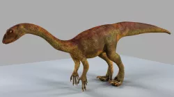Allosaurus 3D model