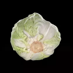 Cabbage Low-poly  3D model