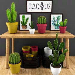 cactus set 3D model