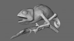 Chameleon 3D model