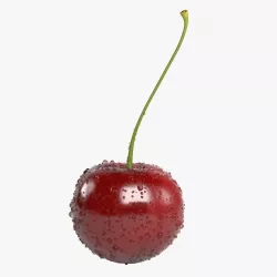 Cherry 001 3D model