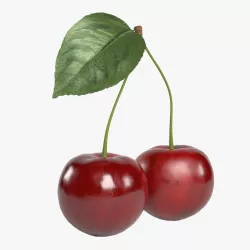 Cherry 002 3D model
