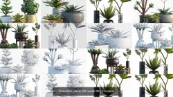 Collection plants 3D model 02 