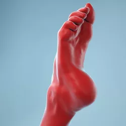 Crunched Toes Realistic Foot Model  04 3D model