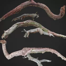Dead twisted tree 3d scan 5 3D model