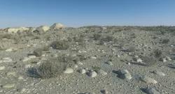 Desert 3D model