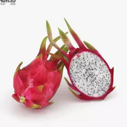 Dragon Fruit 3D model