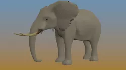 Elephant in some formats    3D model