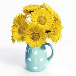 Gerbera Daisies 3D model