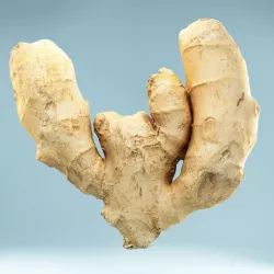 Ginger Low-poly  3D model