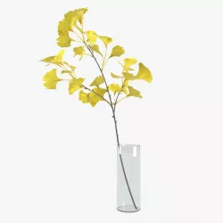 Ginkgo stem 3D model