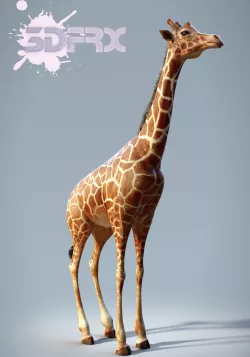  Giraffe 3D model