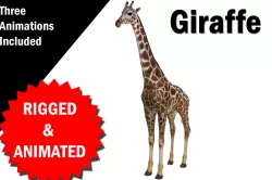 Giraffe Rigged and Animated Low-poly  3D model