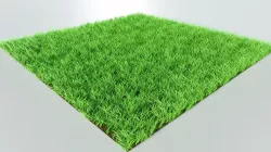 Grass 3D model
