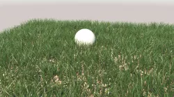 Grass 3D model