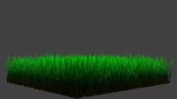 Grass  3D model