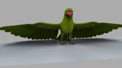 Green Parrot 3D model