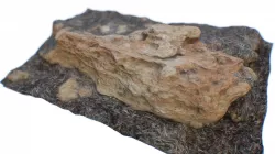 Ground Beach Rock Low-poly  3D model
