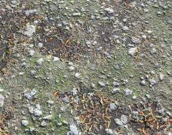 Ground with Pebbles seamless PBR Texture