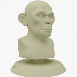 Head Monkey Print stl 3D model