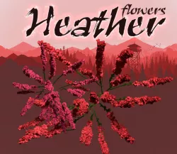 Heather flower 3D model
